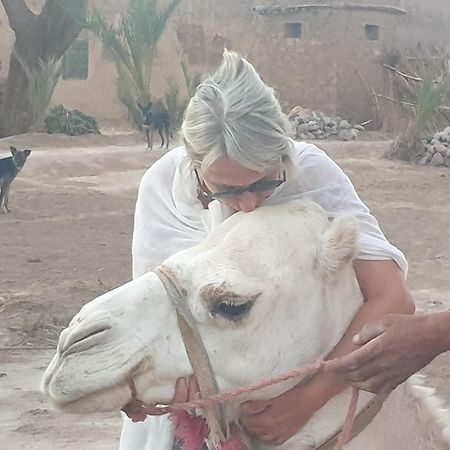 Gite Kasbah La Palmeraie 스쿠라 외부 사진