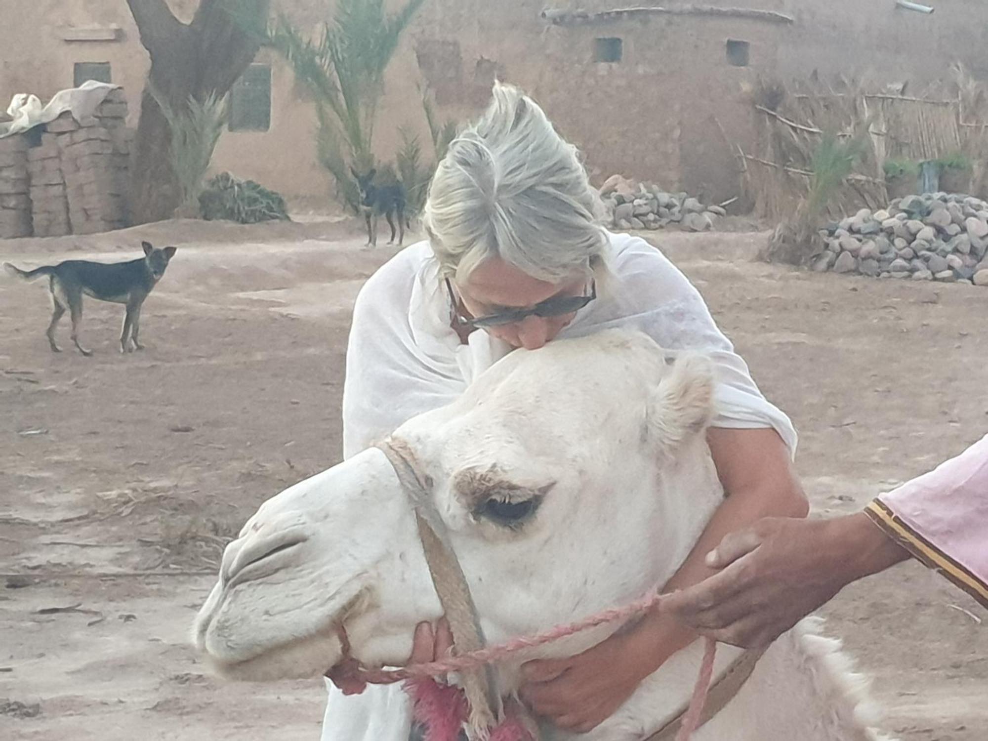 Gite Kasbah La Palmeraie 스쿠라 외부 사진