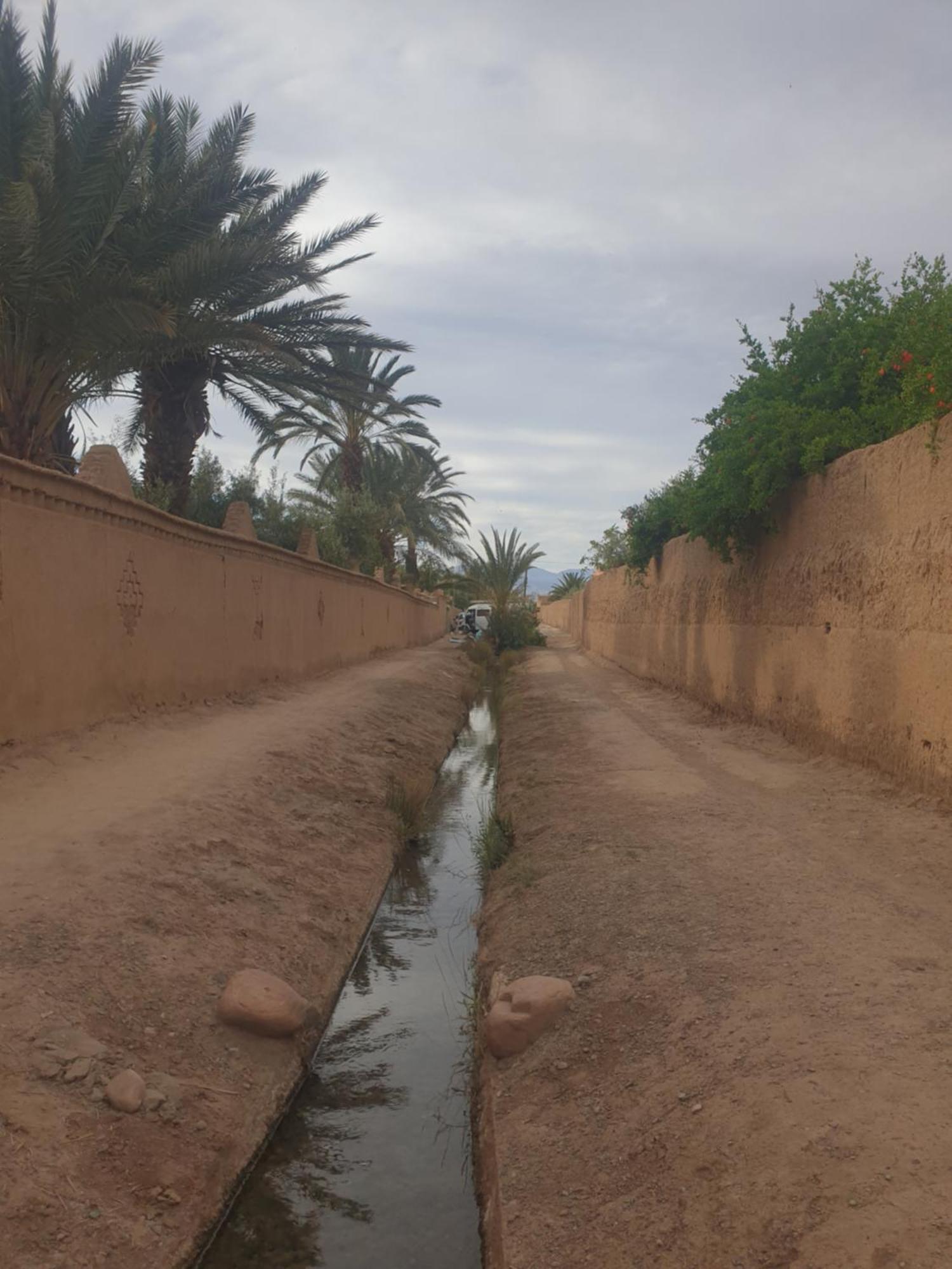 Gite Kasbah La Palmeraie 스쿠라 외부 사진
