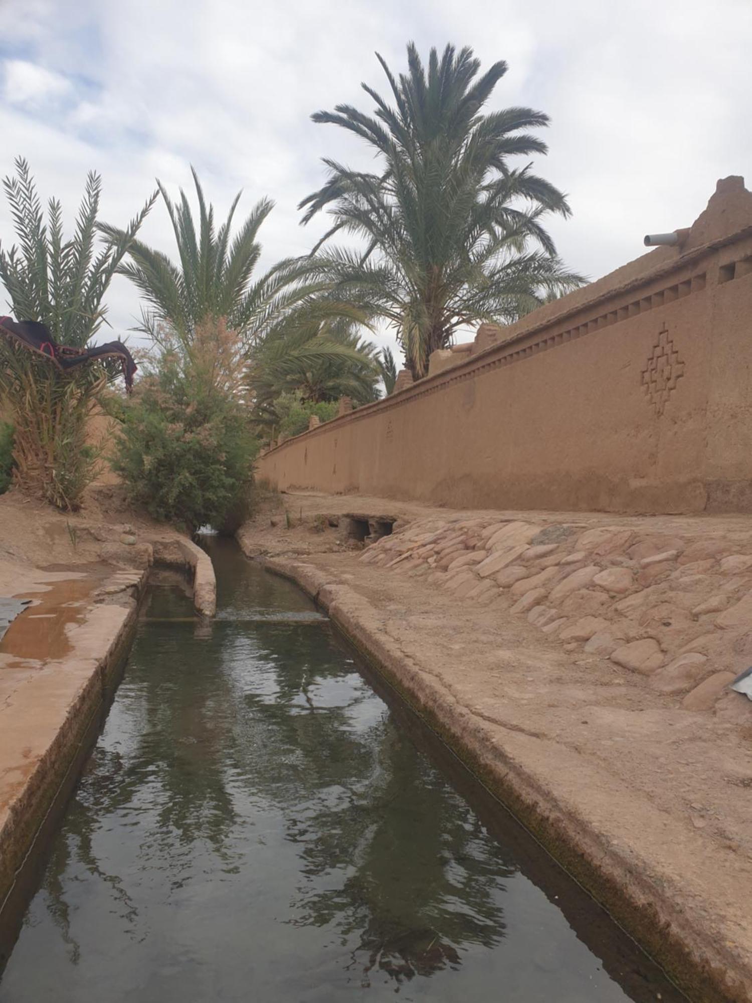 Gite Kasbah La Palmeraie 스쿠라 외부 사진