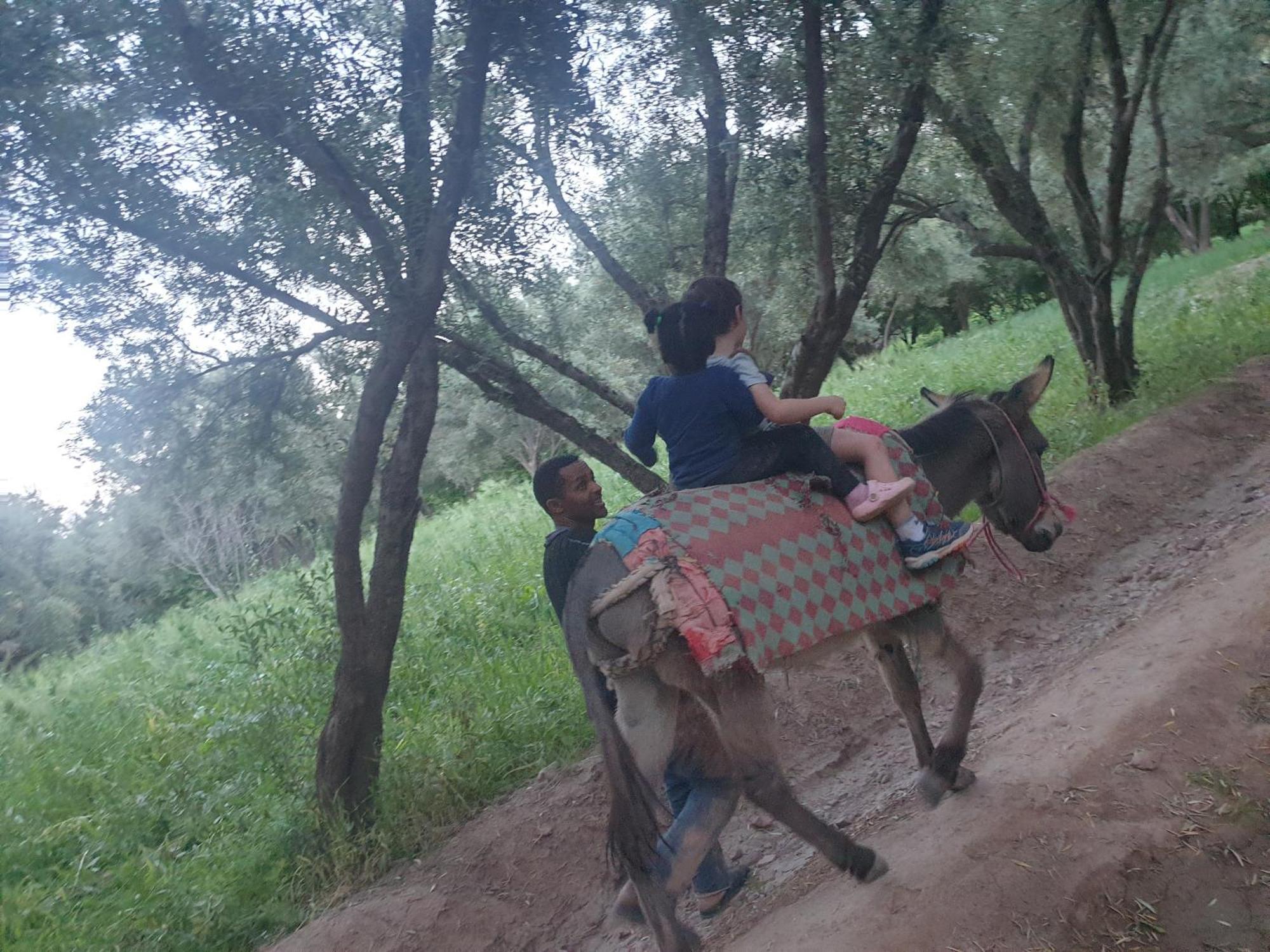 Gite Kasbah La Palmeraie 스쿠라 외부 사진