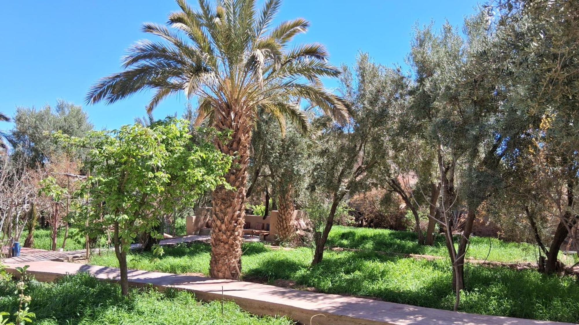 Gite Kasbah La Palmeraie 스쿠라 외부 사진