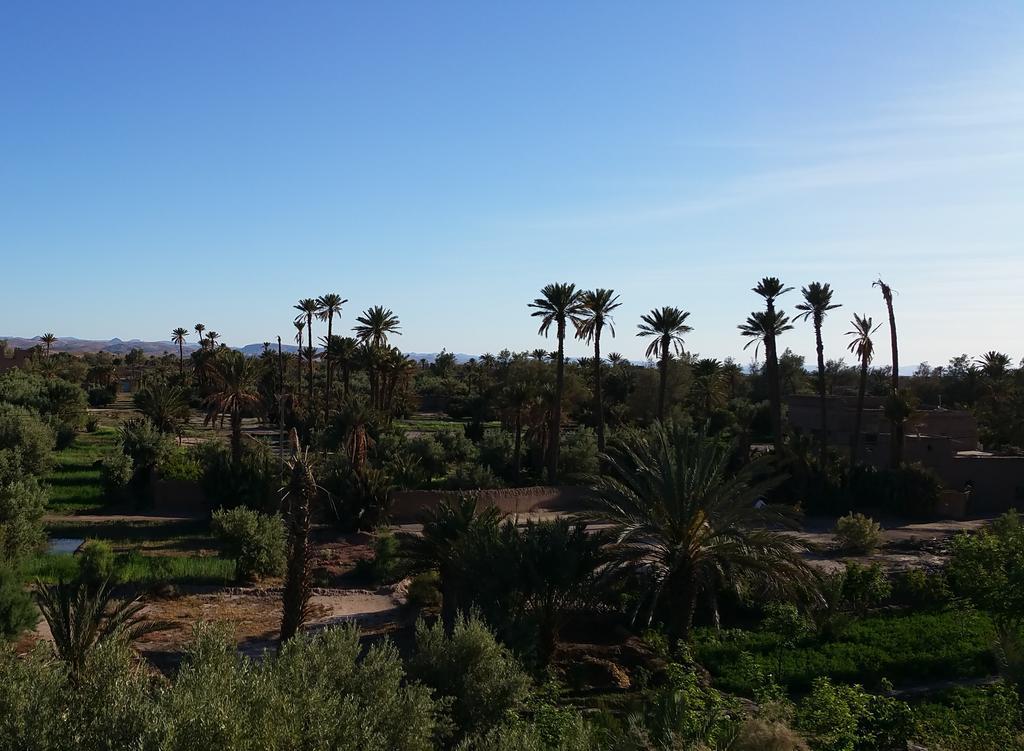Gite Kasbah La Palmeraie 스쿠라 외부 사진