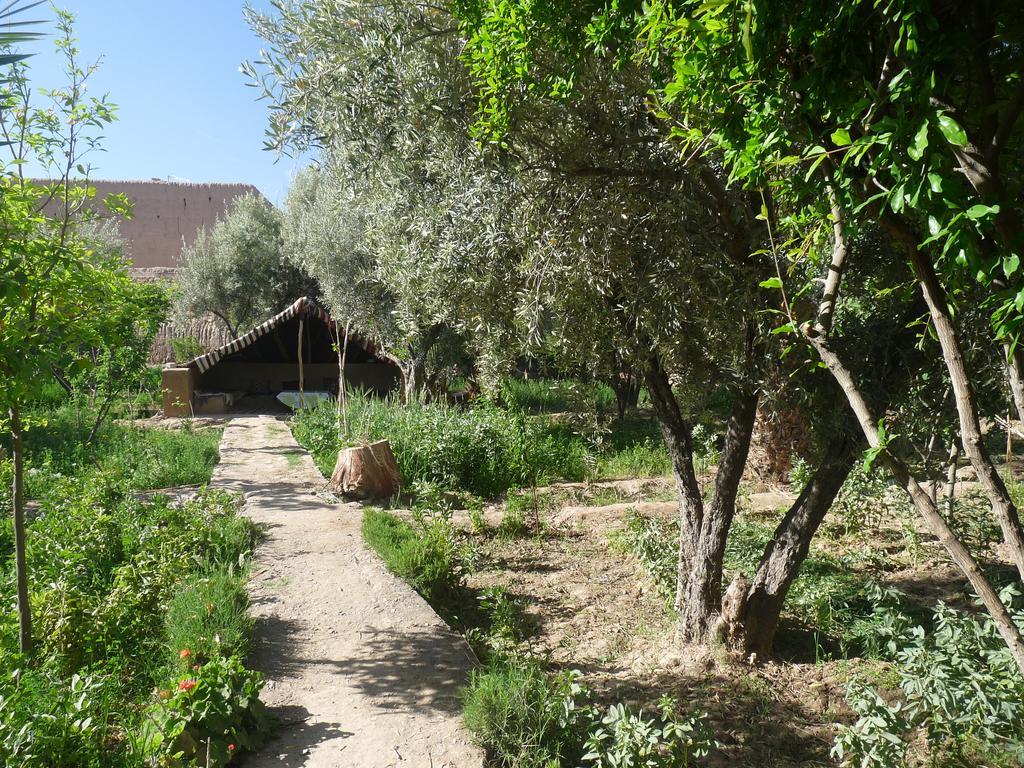 Gite Kasbah La Palmeraie 스쿠라 외부 사진